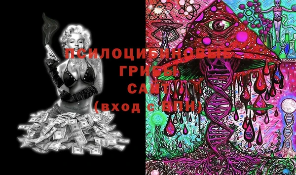 MDMA Заводоуковск