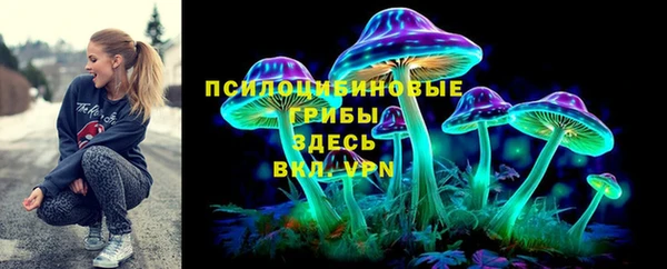 молекула духа Заволжск