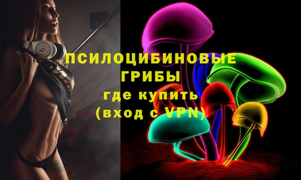 молекула духа Заволжск