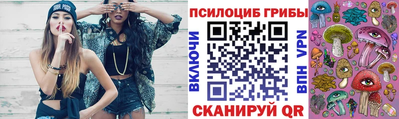 darknet клад Славгород Псилоцибиновые грибы GOLDEN TEACHER сколько стоит