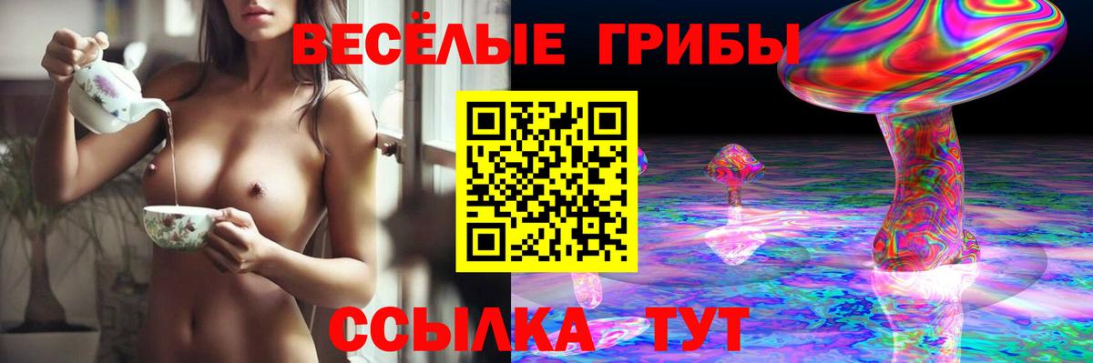 Галлюциногенные грибы Psilocybe  Вход с VPN  Славгород 