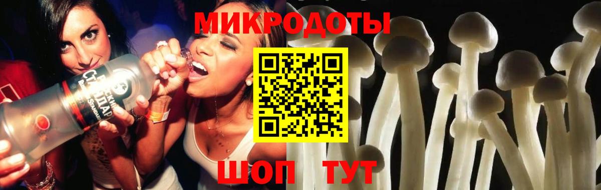 Псилоцибиновые грибы мицелий Славгород