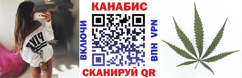 Бошки марихуана конопля  Славгород 